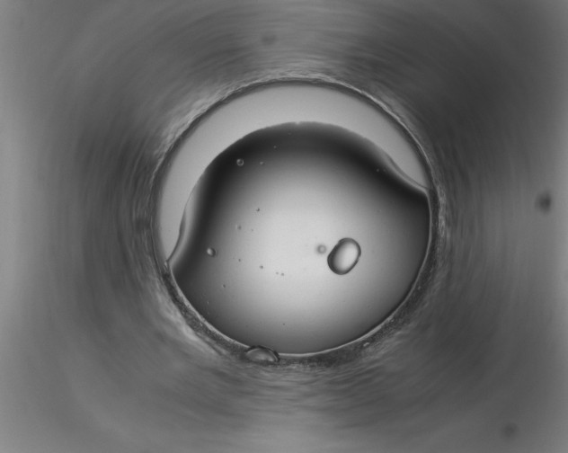 X0000116370485200912231319