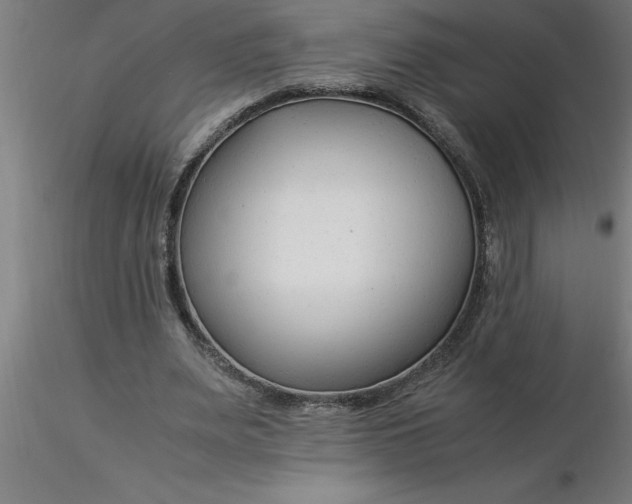 X0000116370487200912231319