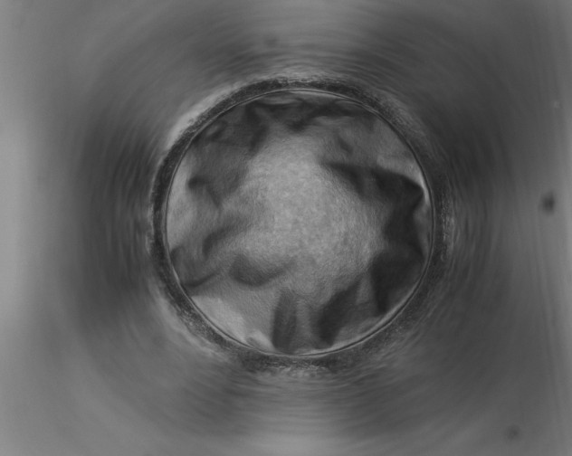 X0000116370488200912231319