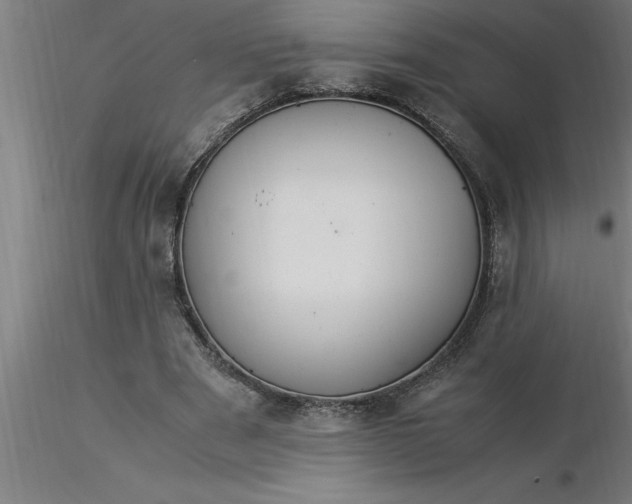 X0000116370489200912231319