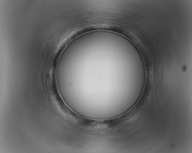 X0000116370491200912231319