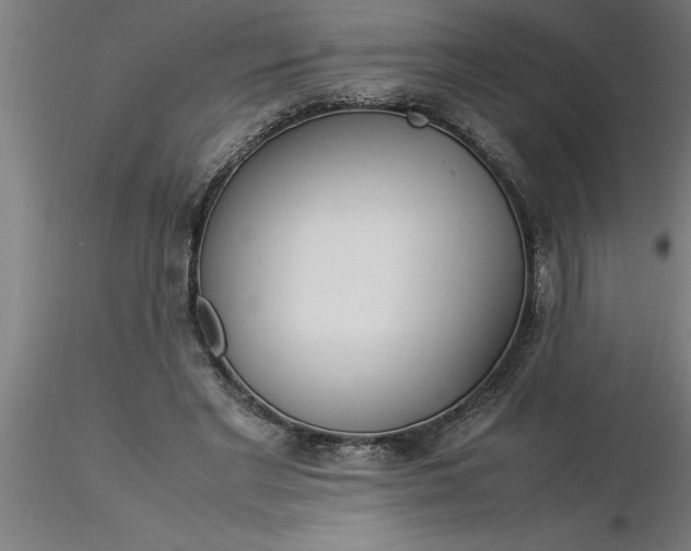 X0000116370493200912231319