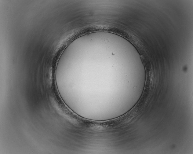 X0000116370494200912231319