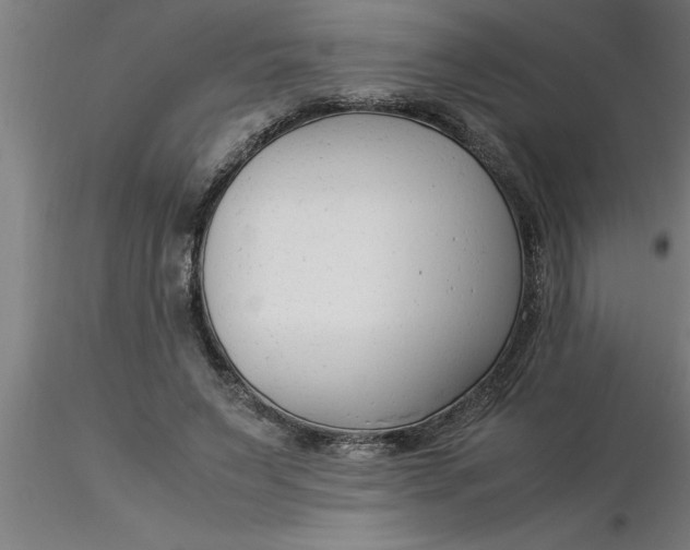 X0000116370495200912231319