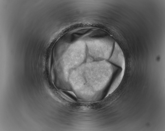 X0000116370496200912231319