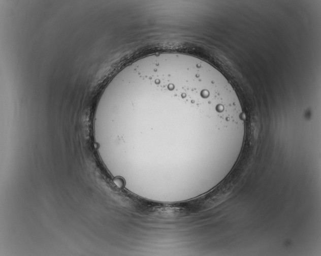 X0000116370497200912231319