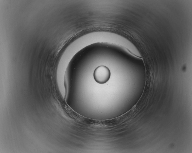 X0000116370500200912231319