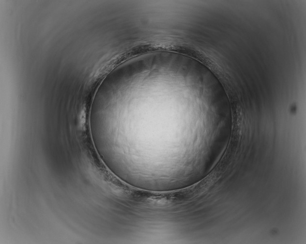 X0000116370502200912231319