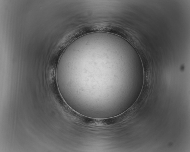 X0000116370503200912231319