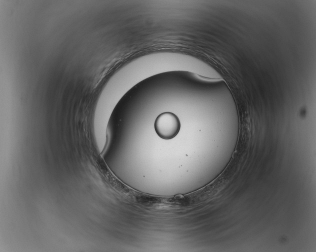 X0000116370504200912231319