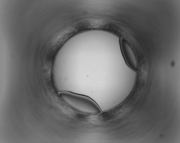 X0000116370505200912231319