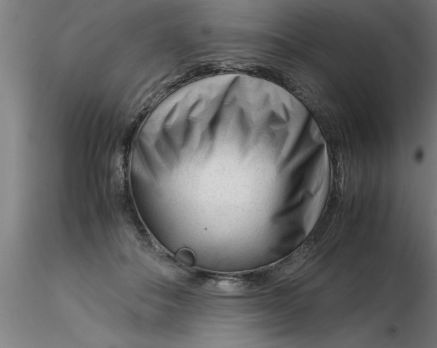 X0000116370506200912231319