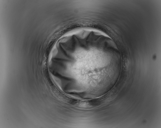 X0000116370507200912231318