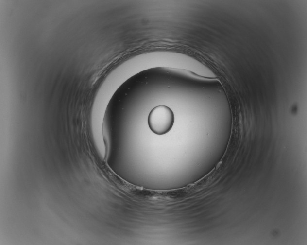 X0000116370508200912231318