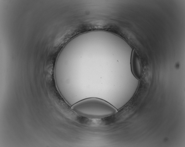 X0000116370509200912231318