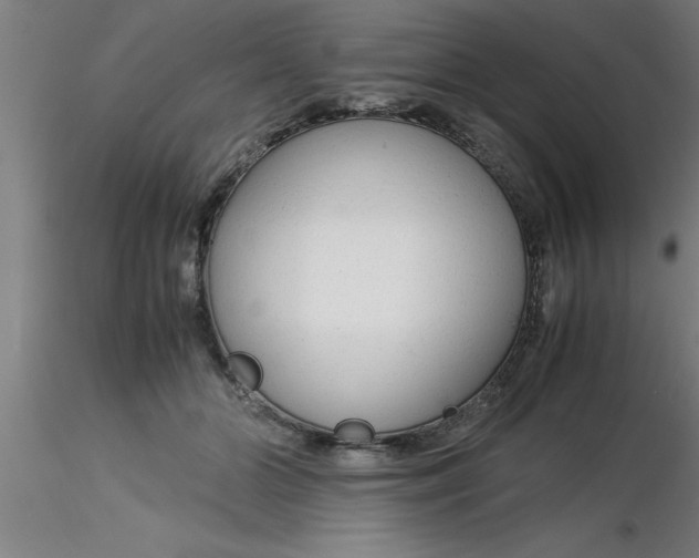 X0000116370510200912231318