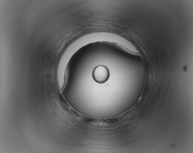 X0000116370512200912231318