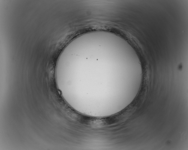 X0000116370513200912231318