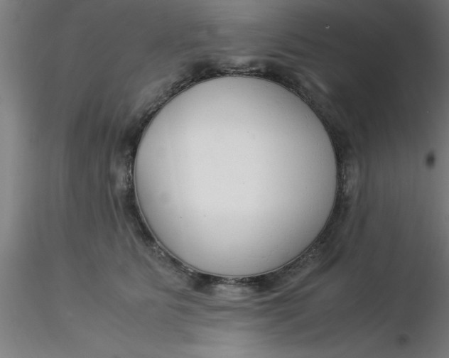 X0000116370515200912231318