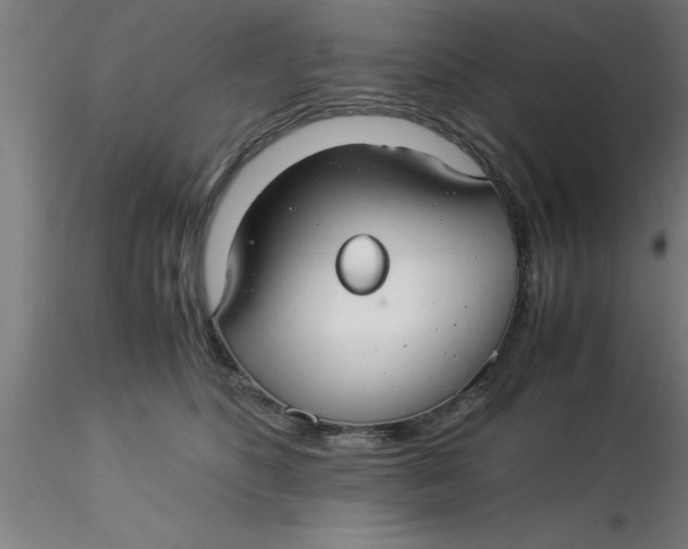 X0000116370516200912231318