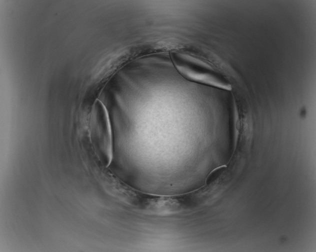 X0000116370517200912231318