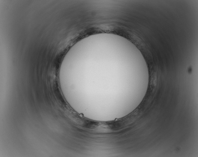 X0000116370518200912231318