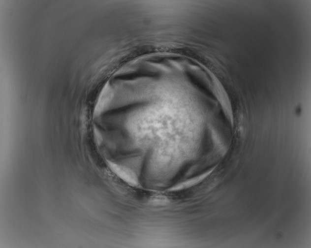 X0000116370519200912231318