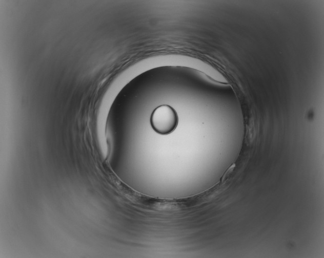 X0000116370520200912231318