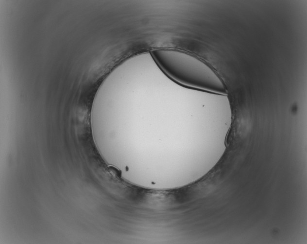 X0000116370521200912231318