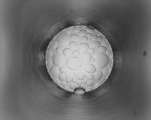 X0000116370523200912231318