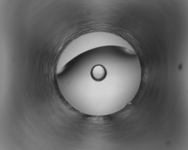 X0000116370524200912231318