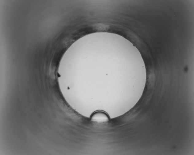 X0000116370525200912231318