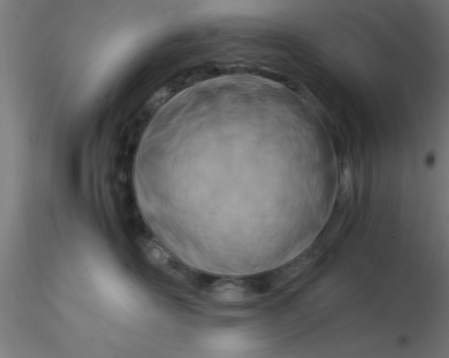 X0000116370526200912231318