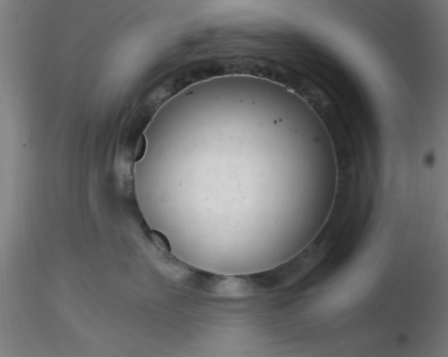 X0000116370527200912231318