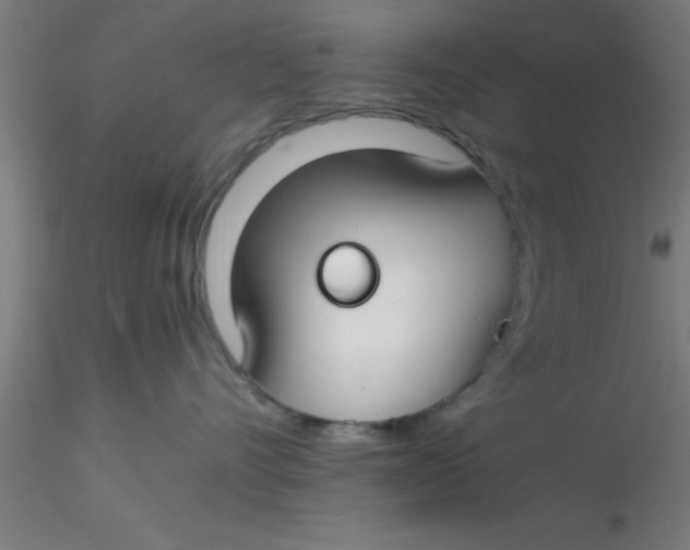 X0000116370528200912231318