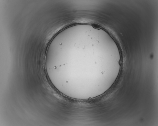 X0000116370529200912231318