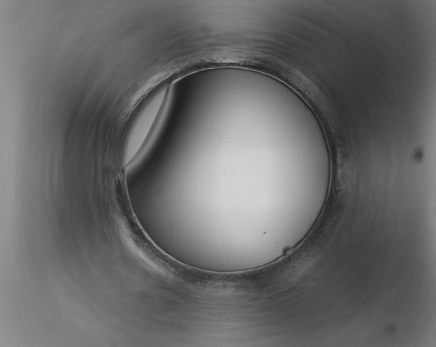 X0000116370530200912231318