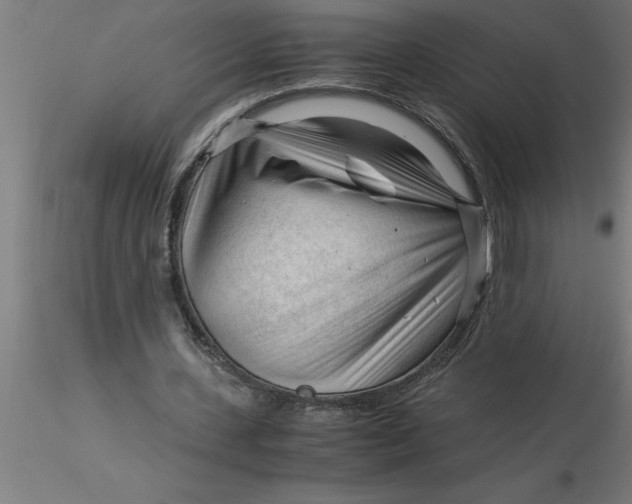 X0000116370531200912231318