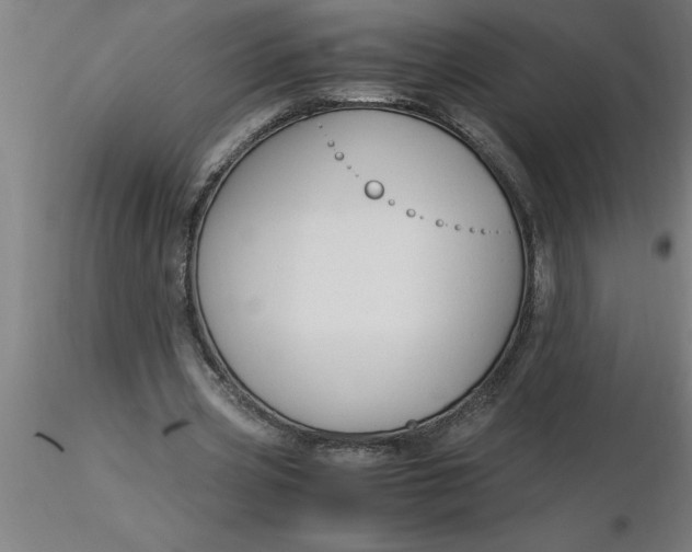 X0000116370533200912231318