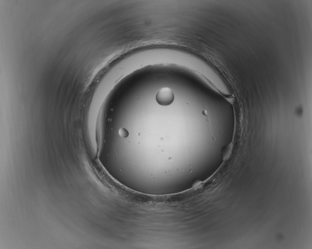 X0000116370534200912231318