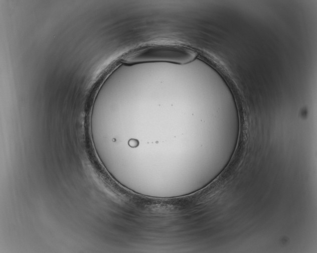 X0000116370535200912231318