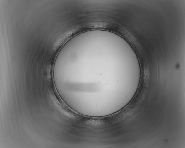 X0000116370537200912231318