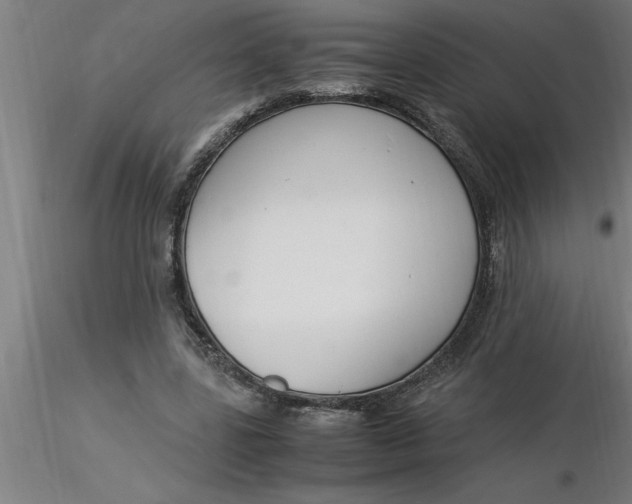 X0000116370539200912231318