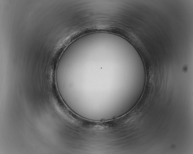 X0000116370542200912231318