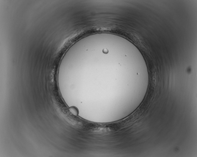 X0000116370543200912231318