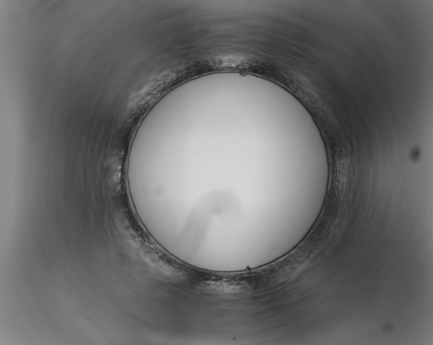 X0000116370545200912231318