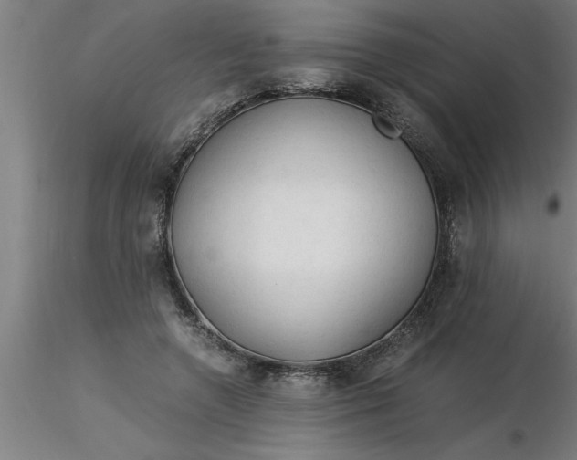 X0000116370546200912231318