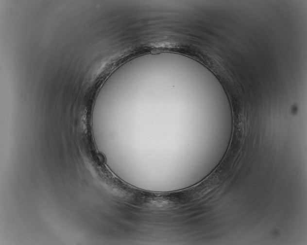 X0000116370547200912231318