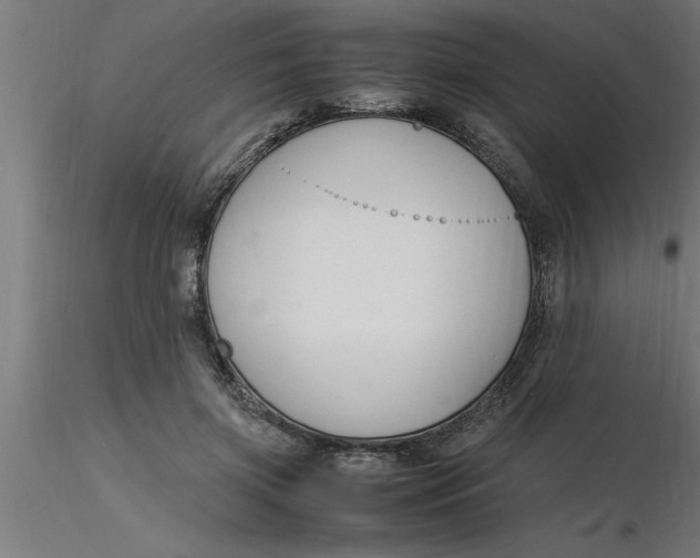 X0000116370549200912231318