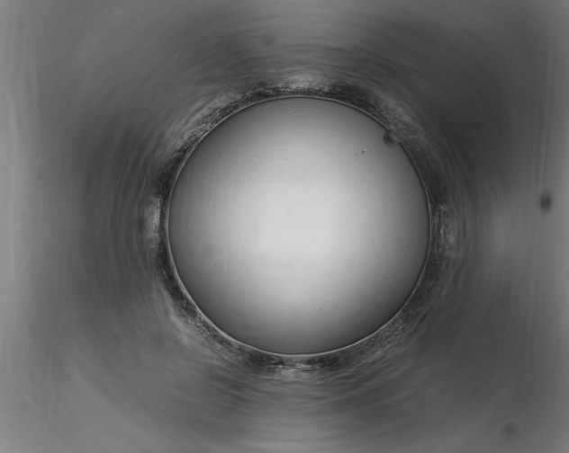 X0000116370550200912231318